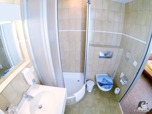 a small bathroom with a shower and a toilet at Gasthof zum Falken in Frauenfeld
