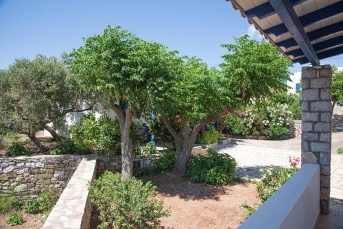 Κήπος έξω από το Vikentios Rooms