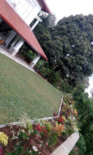 a garden in front of a house with flowers at Cogent Holiday Home in Gelioya