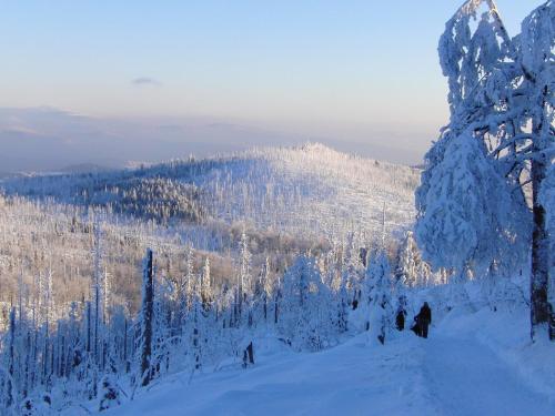 a group of people skiing down a snow covered mountain at Pension Draxlerhof in Neuschönau