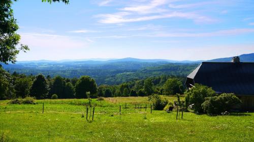 a barn in a field with mountains in the background at Pension Draxlerhof in Neuschönau