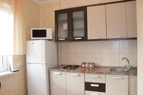 a kitchen with a white refrigerator and a microwave at Староярмаркова с видом на парк и реку in Kryvyi Rih