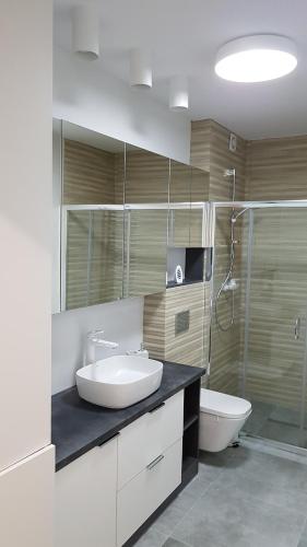 シュクラルスカ・ポレンバにあるMargaretのバスルーム(洗面台、トイレ、シャワー付)