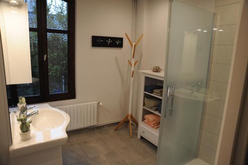 a bathroom with a glass shower and a sink at Maison La Rive in Publier