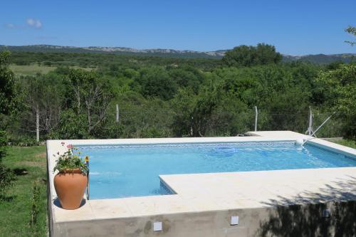 uma piscina com um vaso de plantas ao lado em Cabañas A la Maison em Mina Clavero