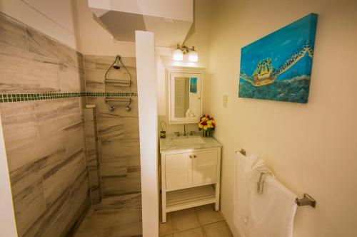een badkamer met een wastafel en een douche bij Oasis Marigot in Marigot Bay