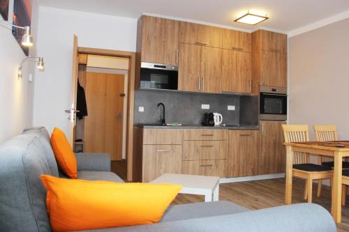 ein Wohnzimmer mit einem Sofa und einer Küche in der Unterkunft Ski apartman Klinovec in Loučná pod Klínovcem