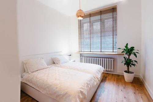 a white bedroom with a bed and a potted plant at Islandijos gatvė in Vilnius