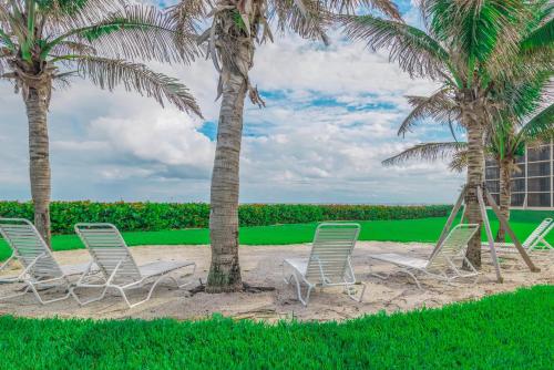 a group of chairs and palm trees on a beach at Turtle Reef Club in Jensen Beach