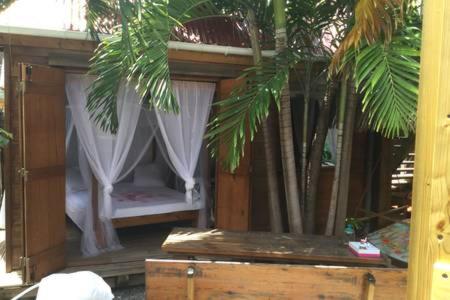 a room with two beds with curtains and trees at AUX ILES d'AMOUR in Terre-de-Haut