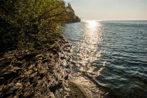 a shoreline with the sun reflecting on the water at Lakeview on the Lake in North East