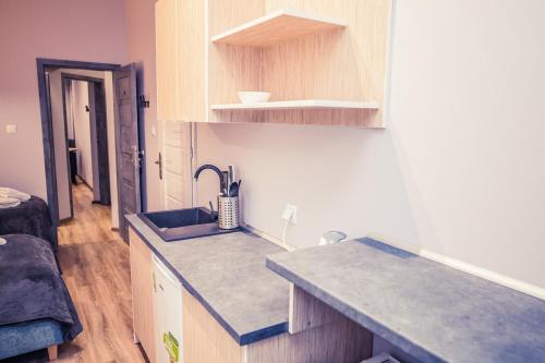eine Küche mit Spüle und Arbeitsplatte in der Unterkunft Apartamenty 21 Basic in Stettin