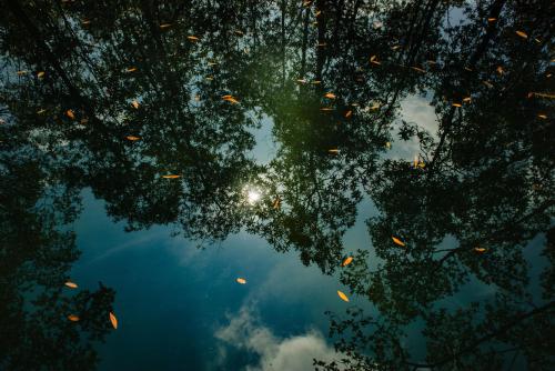 a reflection of trees and the sky in the water at Hotel Costa Choco in Bahía Solano