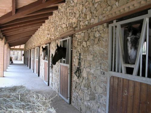 Gallery image of Agriturismo La Fontanella & Glamping in Suvereto