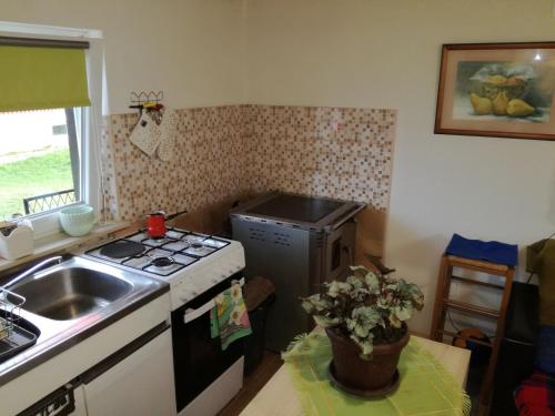a small kitchen with a stove and a sink at Kuća za odmor "Jasna" (Holiday home "Jasna") in Crni Lug