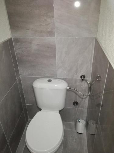 a bathroom with a toilet and a tiled wall at Kuća za odmor "Jasna" (Holiday home "Jasna") in Crni Lug