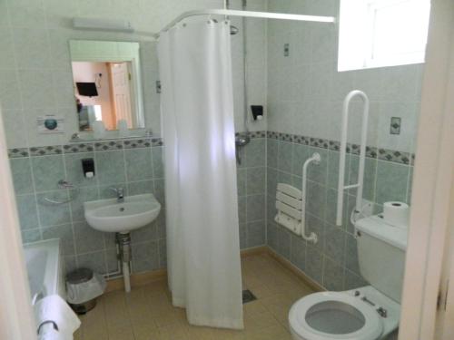 a bathroom with a toilet and a sink at The Cedars Hotel in Stowmarket