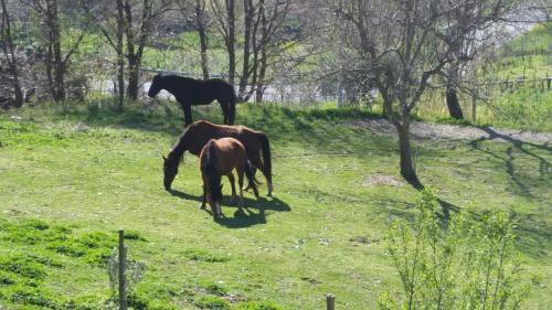 Gallery image of Georgerock in Grimaldi