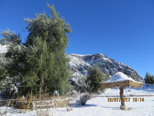 a snowy field with a tree and an umbrella at Cabañas Emporio de la Meme in San José de Maipo