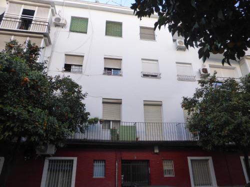 Esencia Sevilla