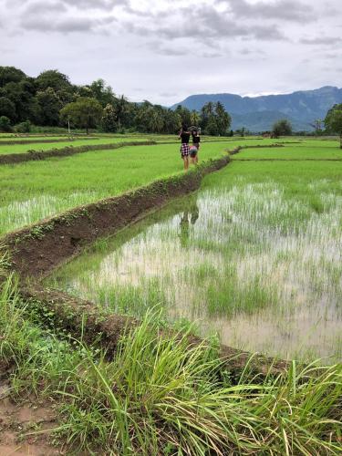 two people walking on a dirt road in a field at Mapakada Village - Mahiyanganaya in Mahiyangana