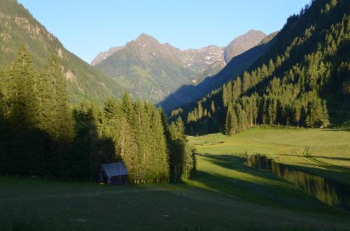 a green field with trees and a river and mountains at Tetter in Schladming