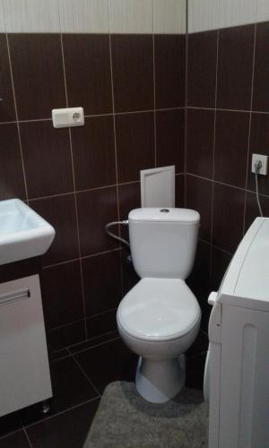 La salle de bains est pourvue de toilettes blanches et d'un lavabo. dans l'établissement Біля Драматичного театру, à Ivano-Frankivsk