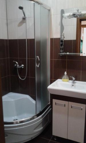 La salle de bains est pourvue d'une douche, de toilettes et d'un lavabo. dans l'établissement Біля Драматичного театру, à Ivano-Frankivsk