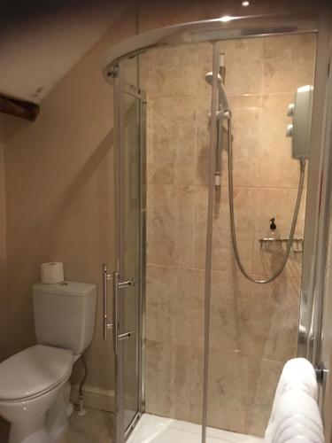 a bathroom with a shower with a toilet at The Tanners Arms in Devynock