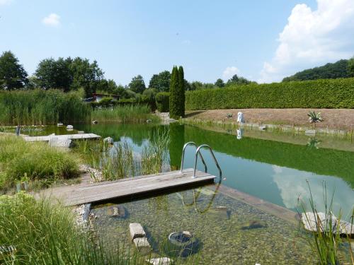 a pond with a wooden bench in the water at Ferienhotel Wolfsmühle in Rodishain