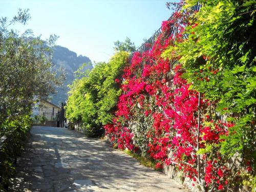 a row of flowers on a fence at Le Cicale - Apartments in Conca dei Marini