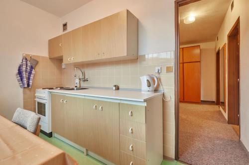 eine Küche mit einer Spüle und einer Arbeitsplatte in der Unterkunft Apartmany Firn in Pec pod Sněžkou