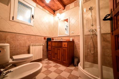 a bathroom with a toilet and a sink and a shower at LA HUERTA DEL DUERO in Villamarciel