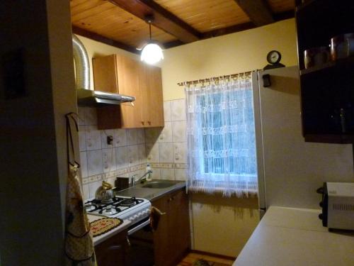 a kitchen with a sink and a stove and a window at Agroturystyka u Psotki in Kużmina