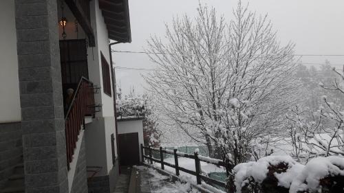 a tree covered in snow next to a fence at Casa Vacanze Germano in Aosta