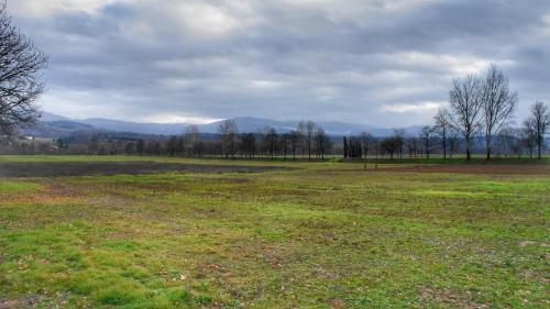 a large field with trees and mountains in the background at Agriturismo Casa Agricola Rossi Appartamenti in Casentino in Soci