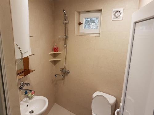 Koupelna v ubytování Guesthouse Robi