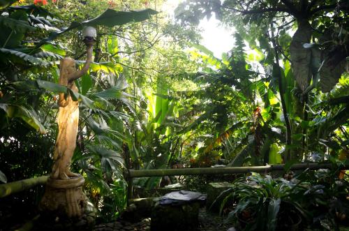 a statue in the middle of a forest at The Secret Buddha in Medellín
