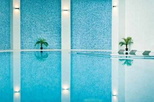 a swimming pool with two palm trees in it at Mirage Medspa Hotel in Eforie Nord