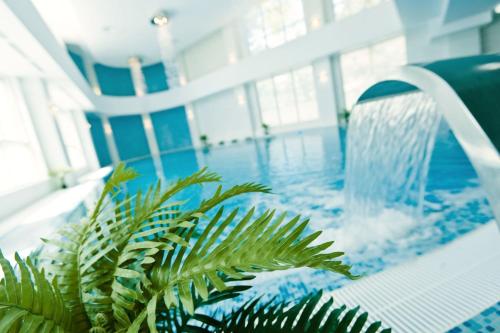 a pool with a fountain and a green plant at Mirage Medspa Hotel in Eforie Nord