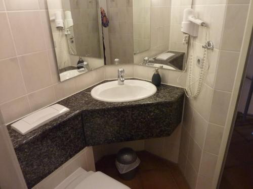 un bagno con lavandino, WC e specchio di Apartment Biber mit Terrasse a Dewichow