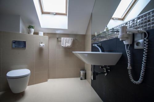 a bathroom with a sink and a toilet at Hotel Krušnohorský Dvůr in Cínovec