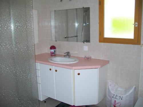 ein Bad mit einem Waschbecken, einem Spiegel und einer Dusche in der Unterkunft le velan in Giez