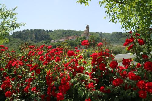 Gallery image of Agriturismo Ada Musso ss in Diano Borello