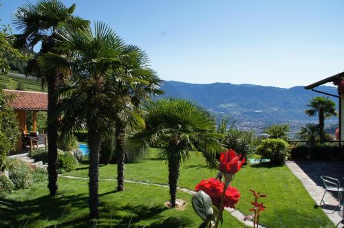 a garden with palm trees and a view of the mountains at Oberangerhof in Lagundo
