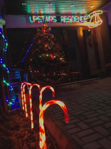 a christmas tree in front of a building with christmas lights at Upstairs Residence in Târgu Jiu