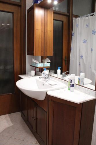 ein Badezimmer mit Waschbecken und Spiegel in der Unterkunft B&B Nella Natura in Pordenone