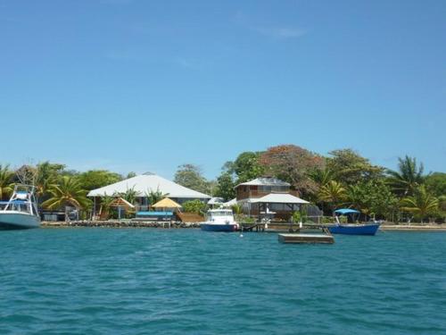 a group of boats in the water near a resort at Wikkid Resort in Dixon Cove