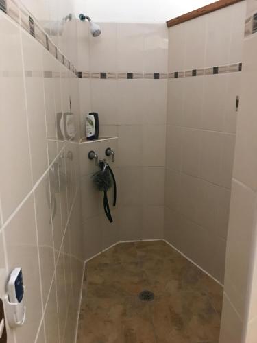 a bathroom with a shower with a tub at Wikkid Resort in Dixon Cove