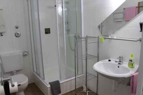 een badkamer met een douche, een wastafel en een toilet bij Ferienwohnung Bambus in Winterberg
